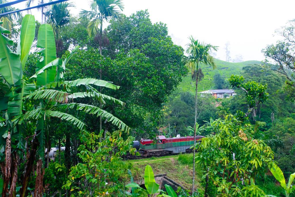 Ella Nature Resort Exterior photo